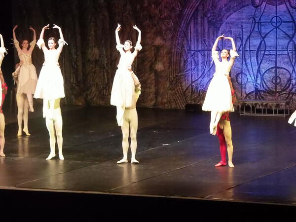 "Лебедово езеро" на Имперския руски балет развълнува великотърновци