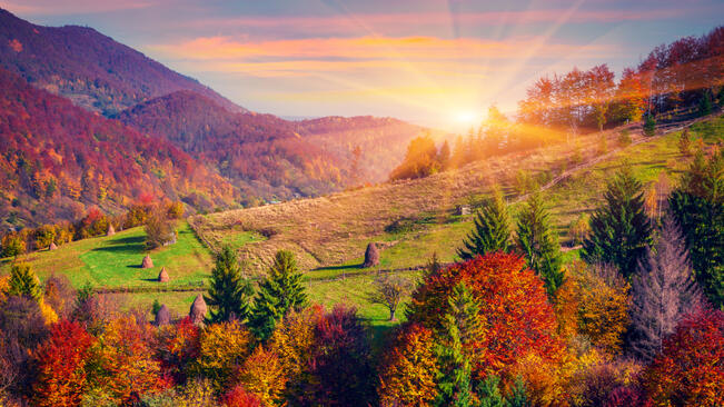 Слънчев петък 13-ти