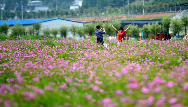 Южнякът пак задуха - до 21° днес
