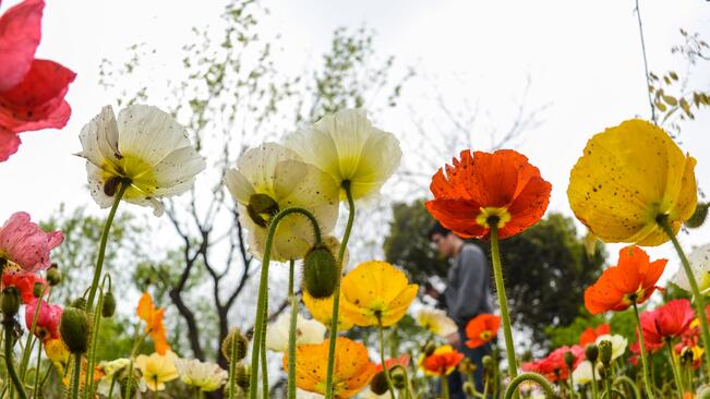 Слънчево ще бъде времето днес, температурите се повишават