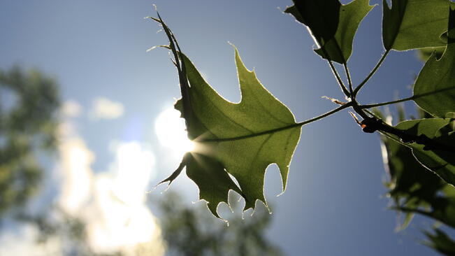 Слънчев и топъл понеделник