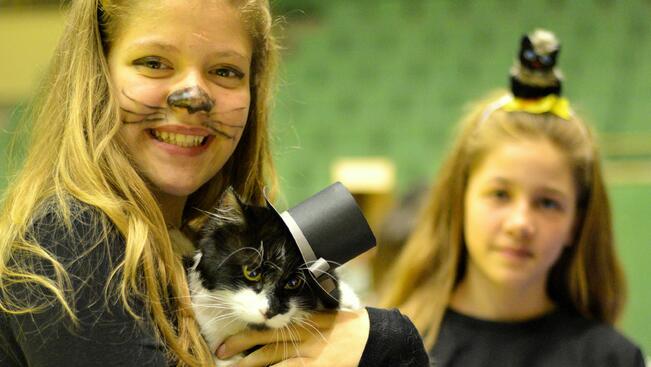 Карнавал-ревю на котки и други домашни любимци за пореден път в Габрово