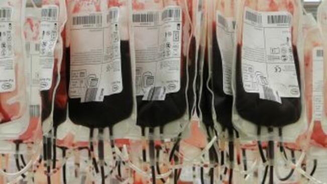 Намериха изкупителна жертва за заразената кръв в Русе