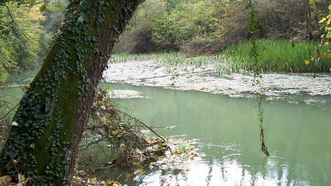Укрепват коритото на реката в Луковит
