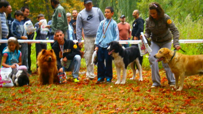 Любители на кучета се събраха в Габрово 