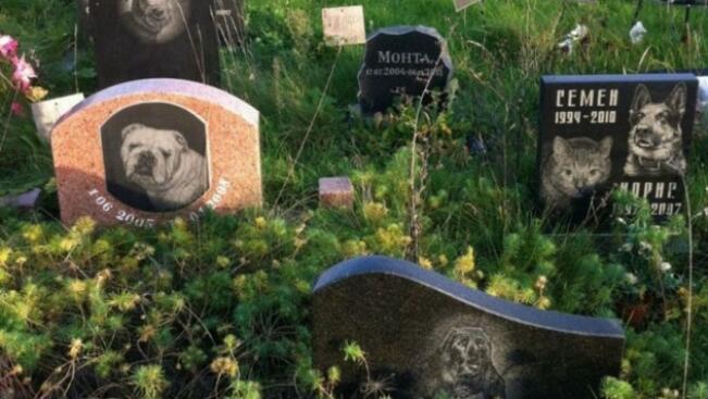 Забраниха гробището за домашни любимци във Варна