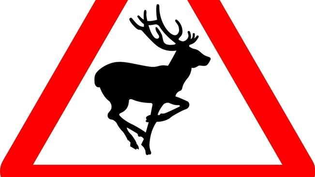 Предложение: пътни знаци предупреждават за инциденти с животни
