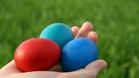 Деца ще боядисват яйца в социално заведение в Овча могила