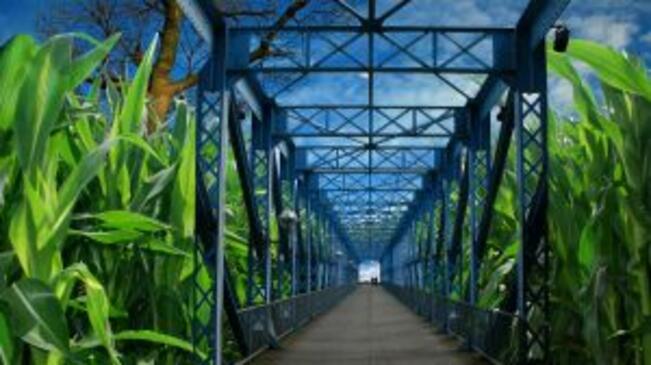 "Евъргрин" планува да инвестира в 652 дка край летище Горна Оряховица