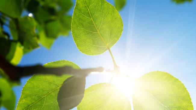 Слънцето грее по-смело днес, температурите ще стигнат 13° 