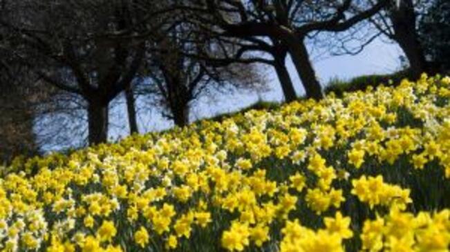 Дни на наследството в Боженци