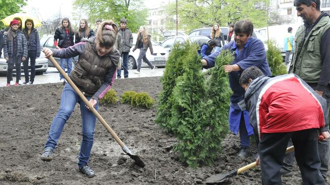 500 дръвчета засадиха в Свищовско