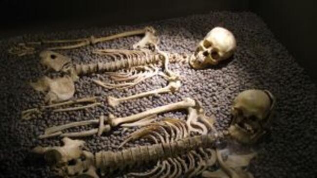 Откриха над 50 човешки скелета в игуменарната на манастира на Трапезица