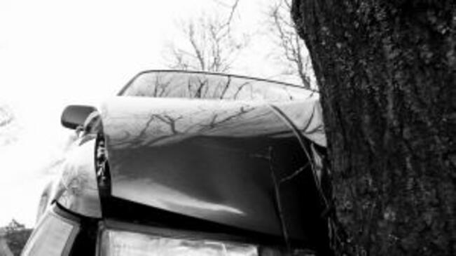 19-годишна кара с несъобразена скорост и се блъска в крайпътно дърво