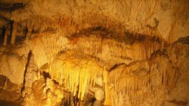 ПК "Дебелт" работи по екологичен проект в защита на Еменската пещера