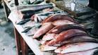 България и Русия подписаха Меморандум за търговия с риба и рибни продукти