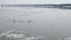 Дунав почти замръзна
