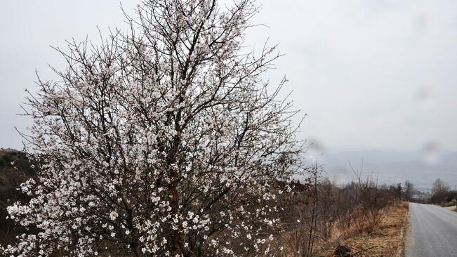 Легенди и поверия за Първа пролет