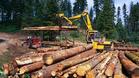 Рязък спад на продажбата на дърва от частните гори в община Трявна