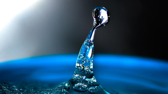 РИОСВ проведе информационен ден, посветен на Световния ден на водата