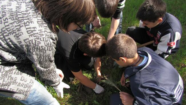50 ученици от Търново се включиха в кампанията "Да засадим дърво"
