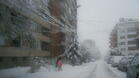 Снегът остави райони в Търновско без ток - обновена