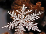 Перфектни ледени кристали - снежинките