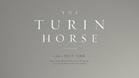 "Торинският кон" прожектират довечера в "Таралеж"