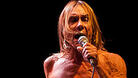 Iggy Pop също отпадна от Sofia rocks