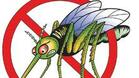 Опушват срещу комари железничарския град