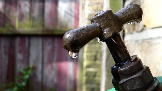 Кметът забрани ползването на питейна вода за напояване