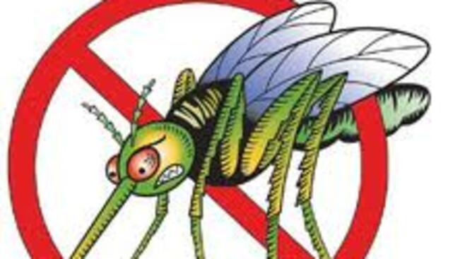 Отново пръскат срещу комари в Г.Оряховица 