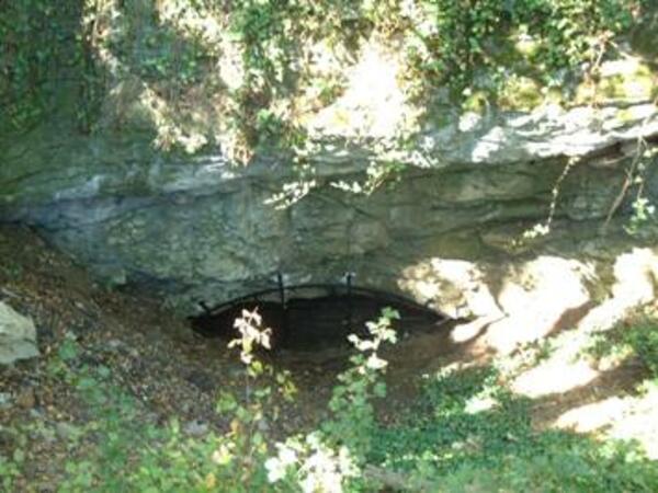 Ентусиасти почистиха пещера в Габрово