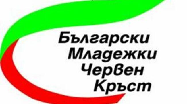 Млади червенокръстци популяризират приемната грижа