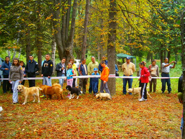 Любители на кучета се събраха в Габрово 