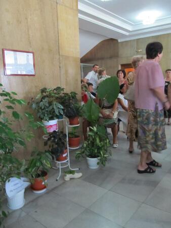С изложба на цветя отбелязват Международния ден на старите хора 