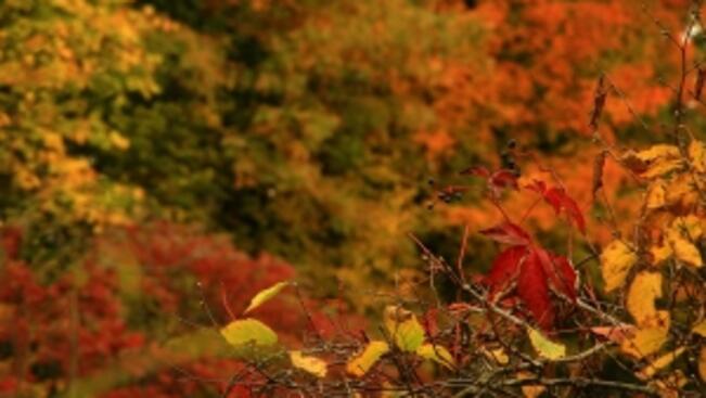 Прогноза за времето днес