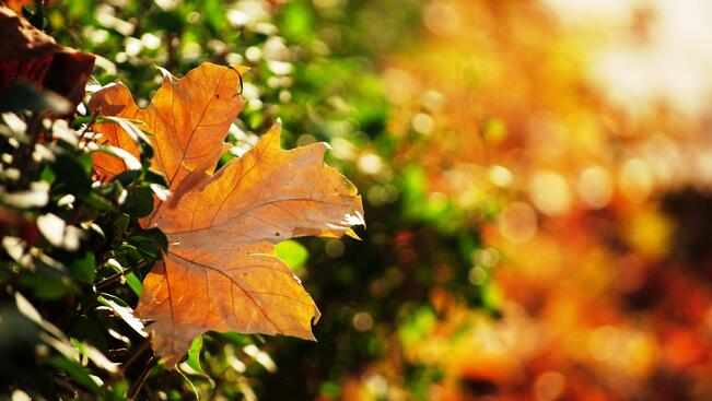 Времето на 18 октомври