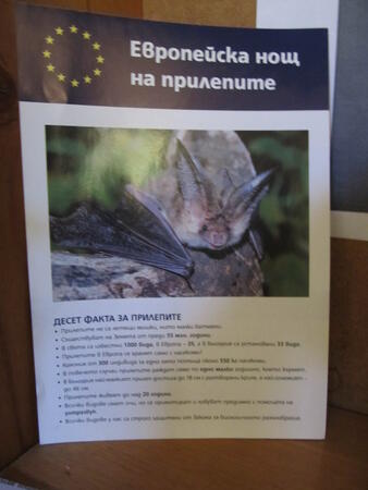 Изложба за прилепите откри ученически спелеоклуб
