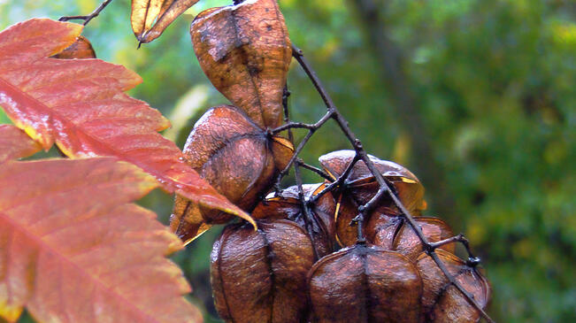 Времето на 12 ноември