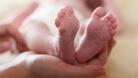 Настаниха бебе в първото приемно семейство в Русе