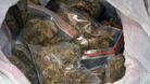 Откриха 10 гр. марихуана в Плевен