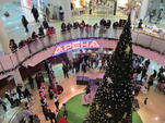 9-метрова елха грейна в Централ Мол
