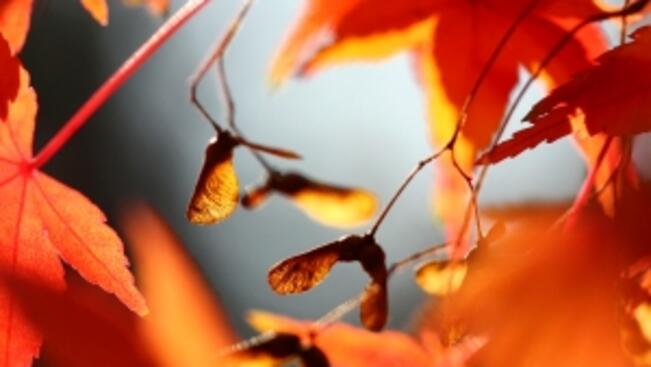 Облачно и ветровито