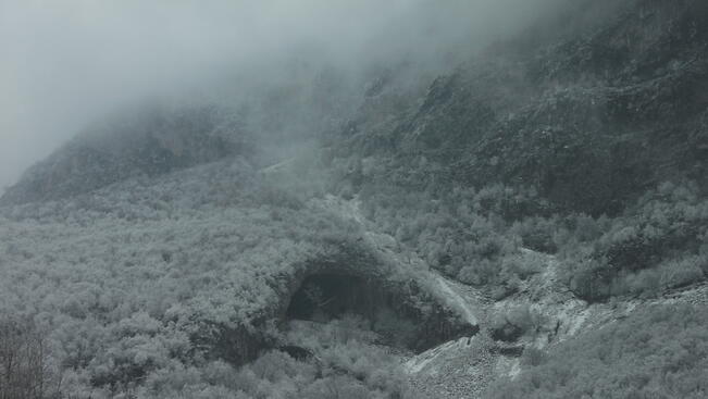 Мъгла, валежи и още студ
