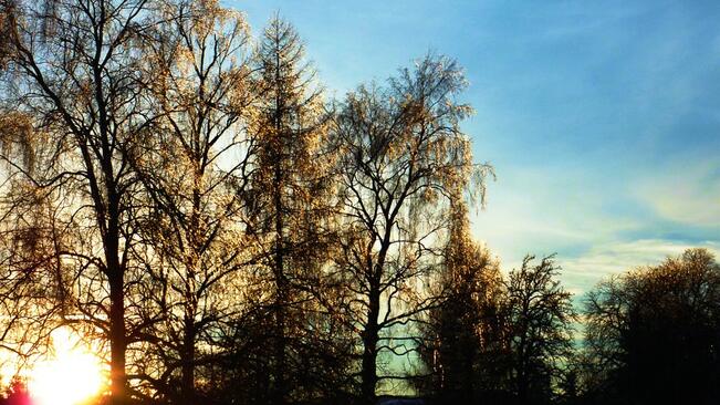 Топло, но доста ветровито