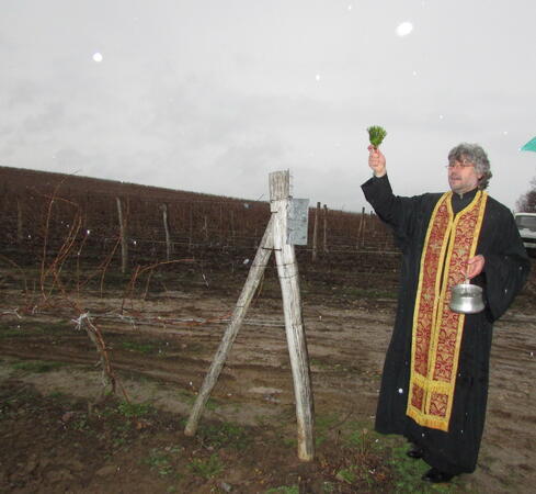 Празник на виното и в Горски долен Тръмбеш