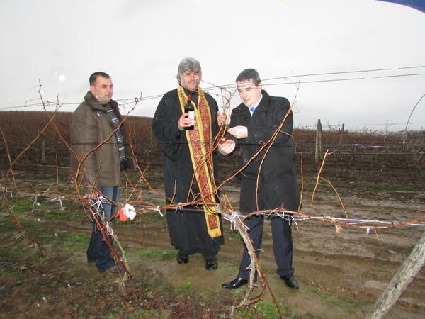 Празник на виното и в Горски долен Тръмбеш