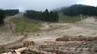 Еколози на протест за запазване на Национален парк Пирин
