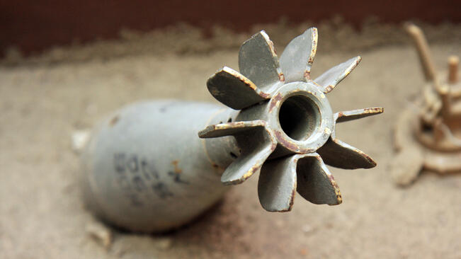 Невзривен боеприпас изникна от дънер на дърво